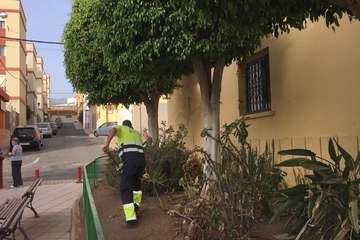 Poda y tratamiento de las zonas verdes de Las Longueras (Foto TA)